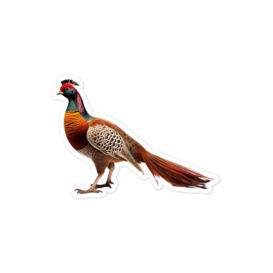 Ring Necked Pheasant Sticker - Stickerfy.ai