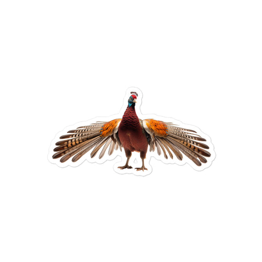 Ring Necked Pheasant Sticker - Stickerfy.ai