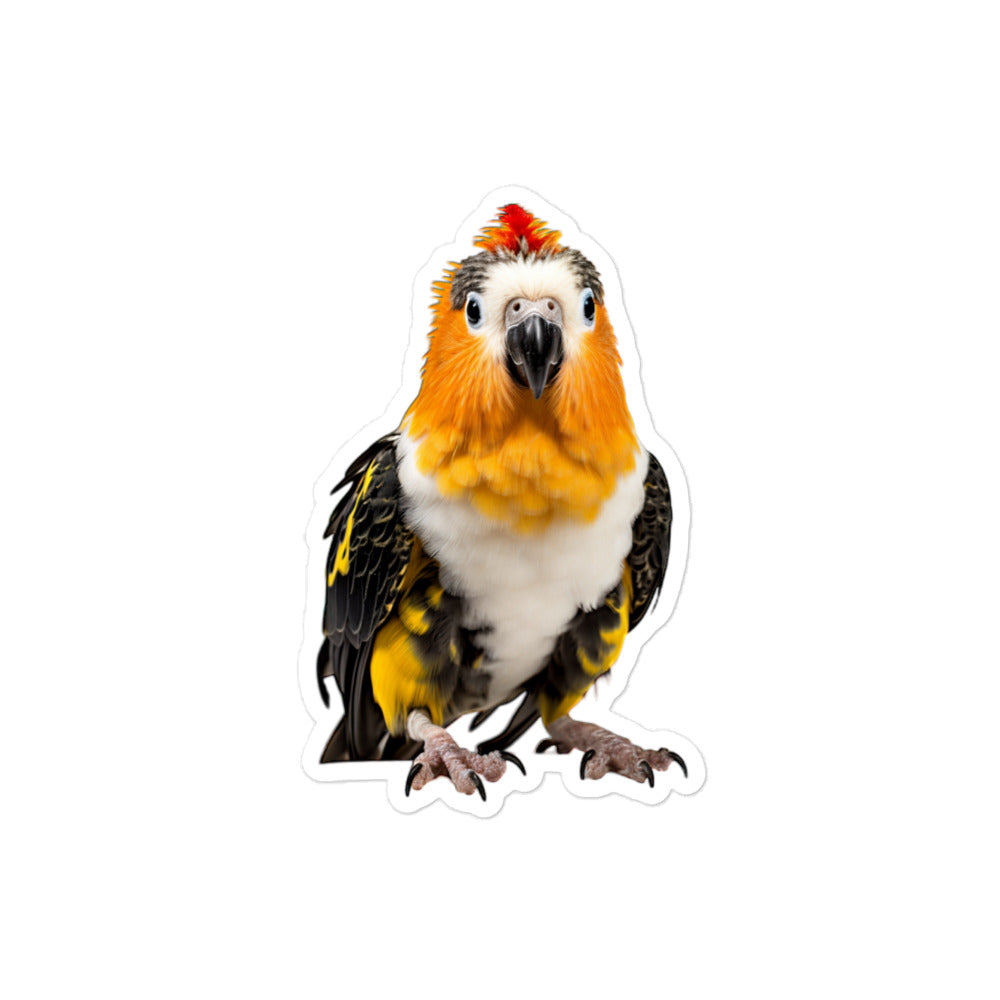 Caique Sticker - Stickerfy.ai