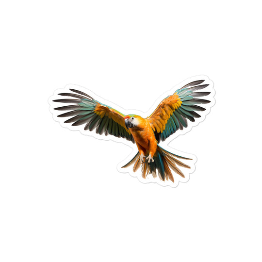 Caique Sticker - Stickerfy.ai