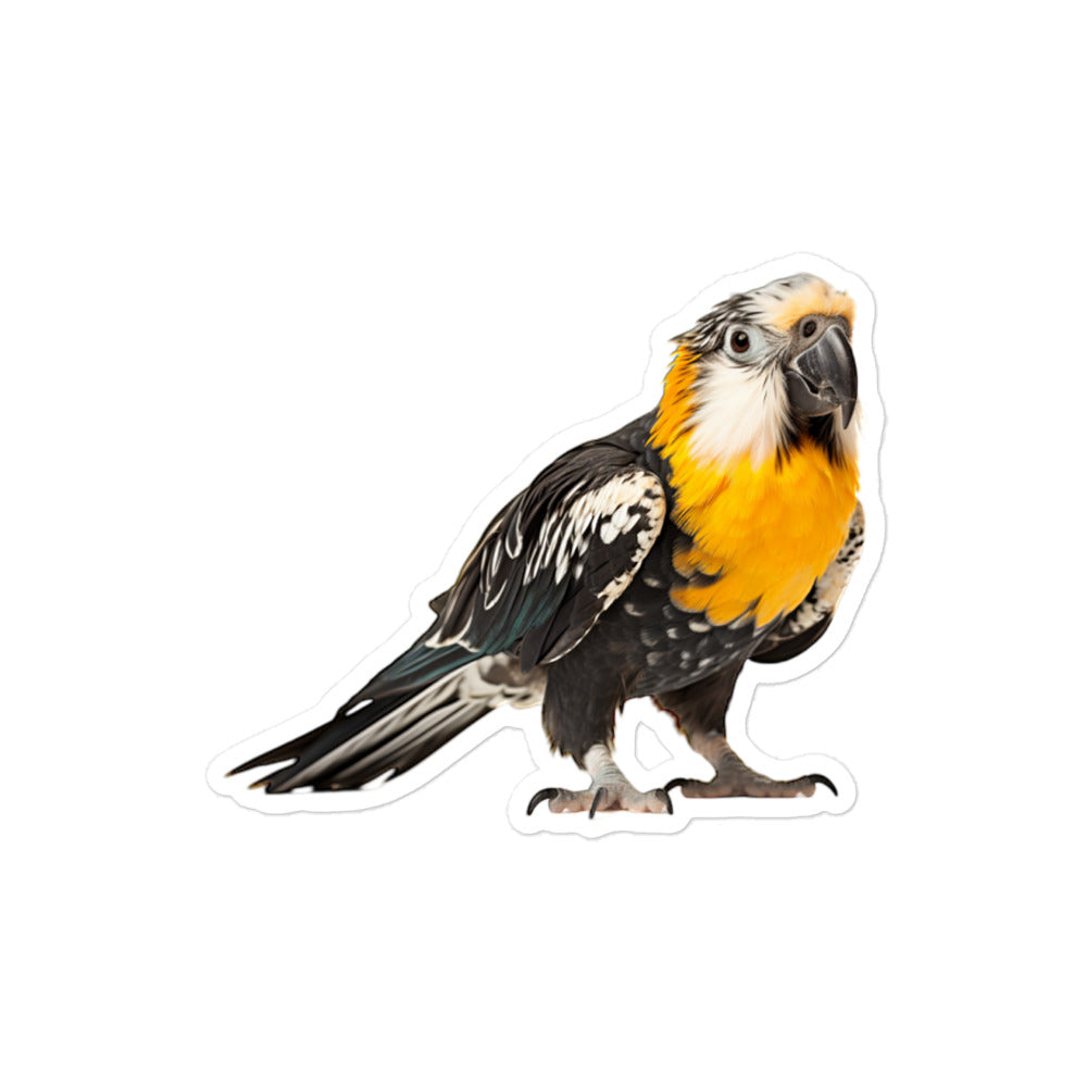 Caique Sticker - Stickerfy.ai