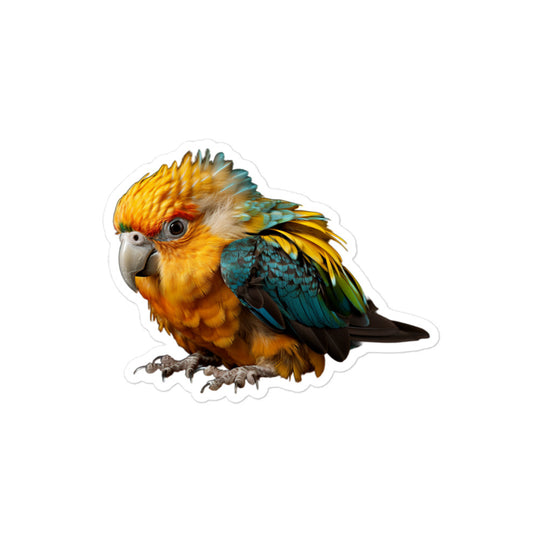 Caique Sticker - Stickerfy.ai