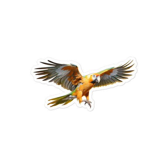 Caique Sticker - Stickerfy.ai