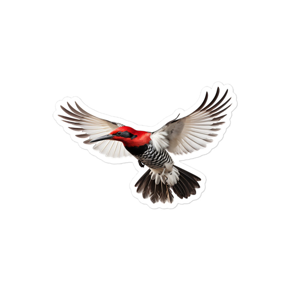 Woodpecker Sticker - Stickerfy.ai