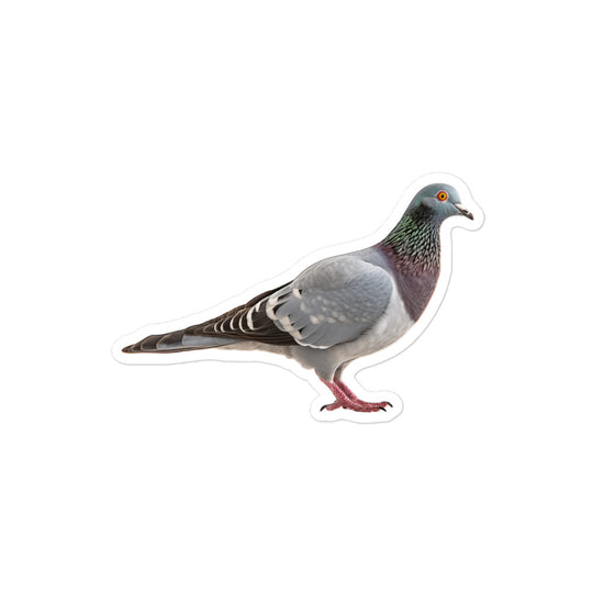 Pigeon Sticker - Stickerfy.ai