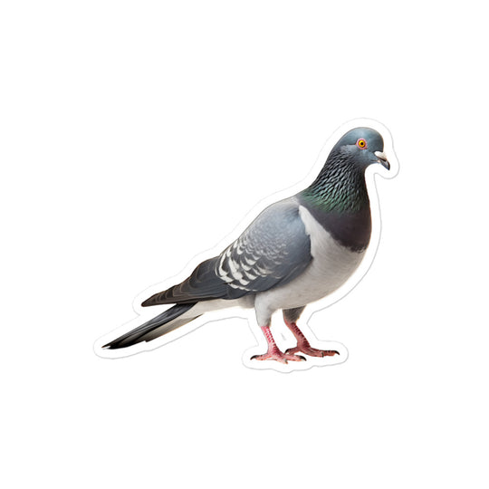 Pigeon Sticker - Stickerfy.ai