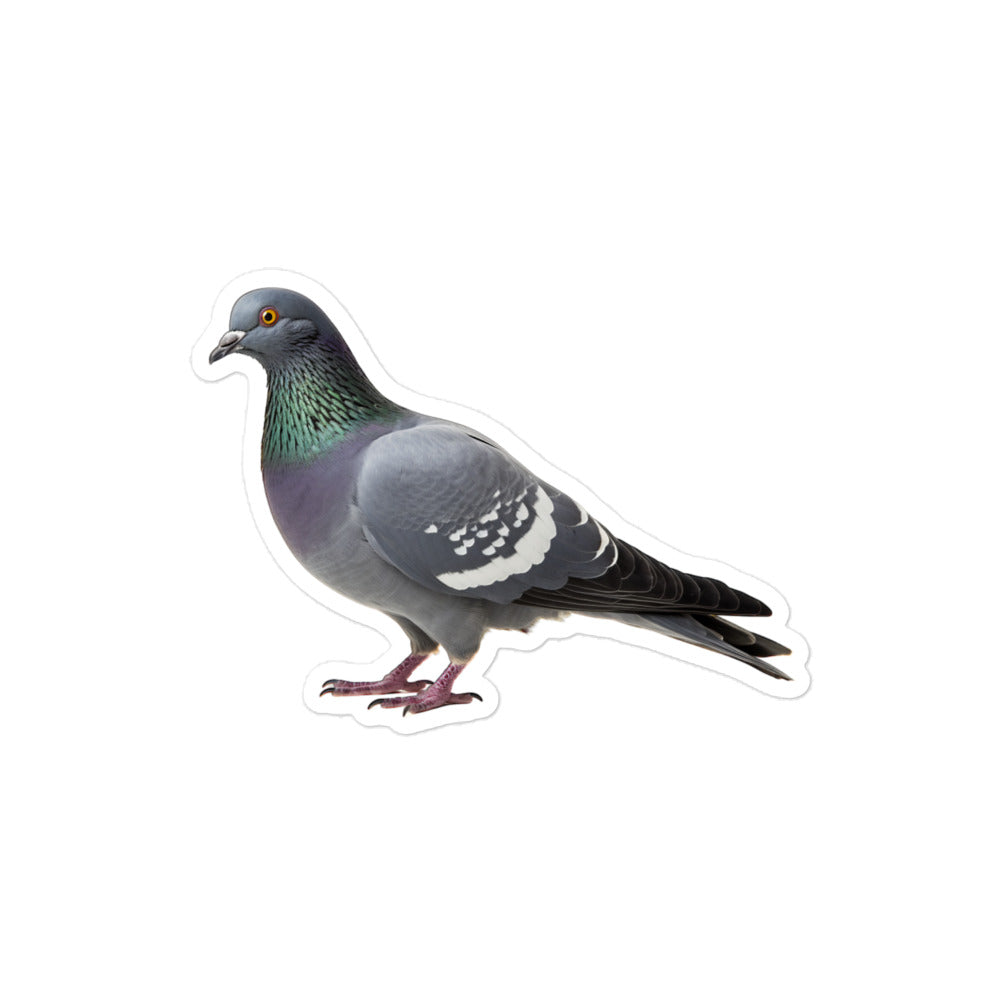 Pigeon Sticker - Stickerfy.ai