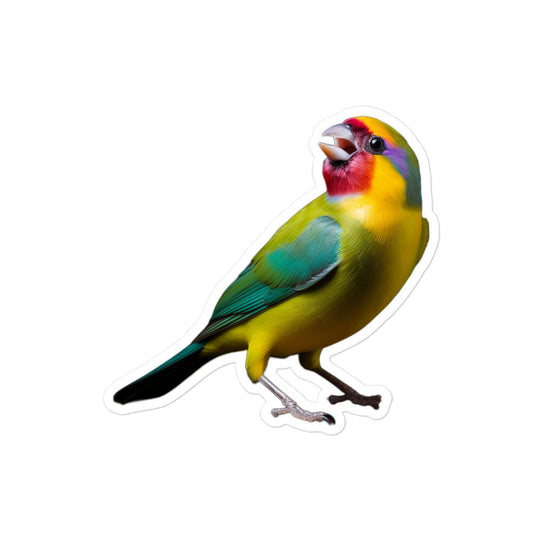 Gouldian Finch Sticker - Stickerfy.ai