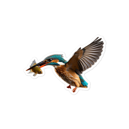 Kingfisher Sticker - Stickerfy.ai