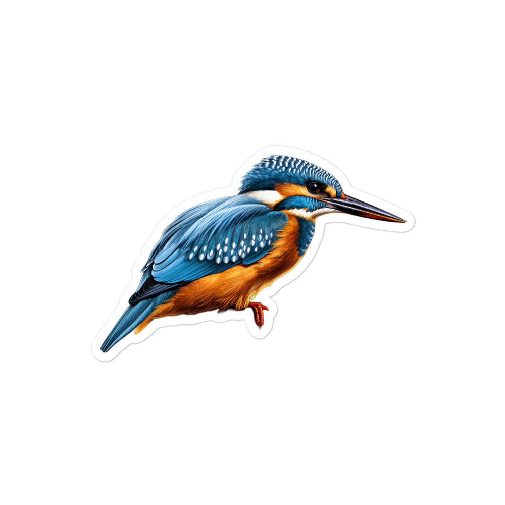 Kingfisher Sticker - Stickerfy.ai