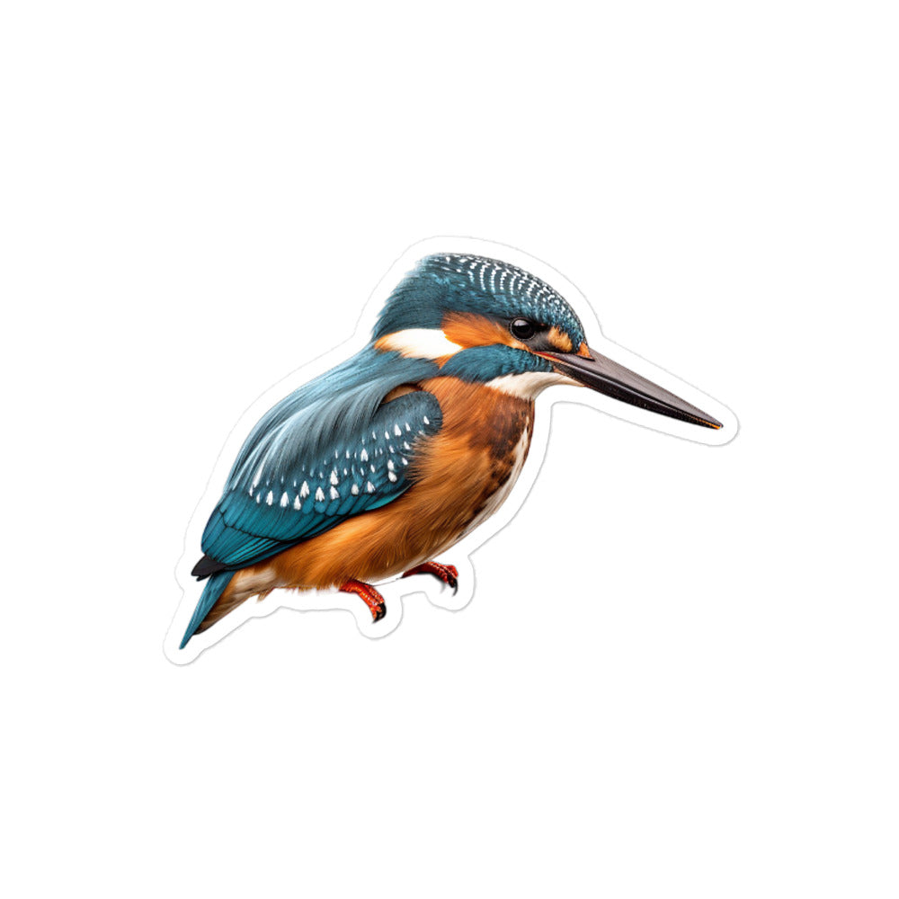 Kingfisher Sticker - Stickerfy.ai