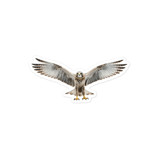 Falcon Sticker - Stickerfy.ai