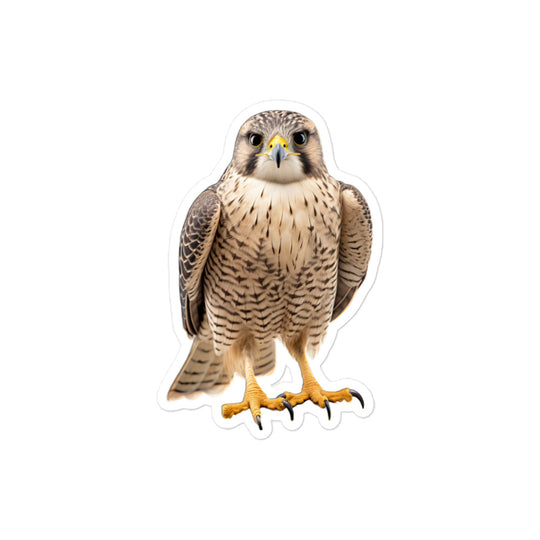 Falcon Sticker - Stickerfy.ai