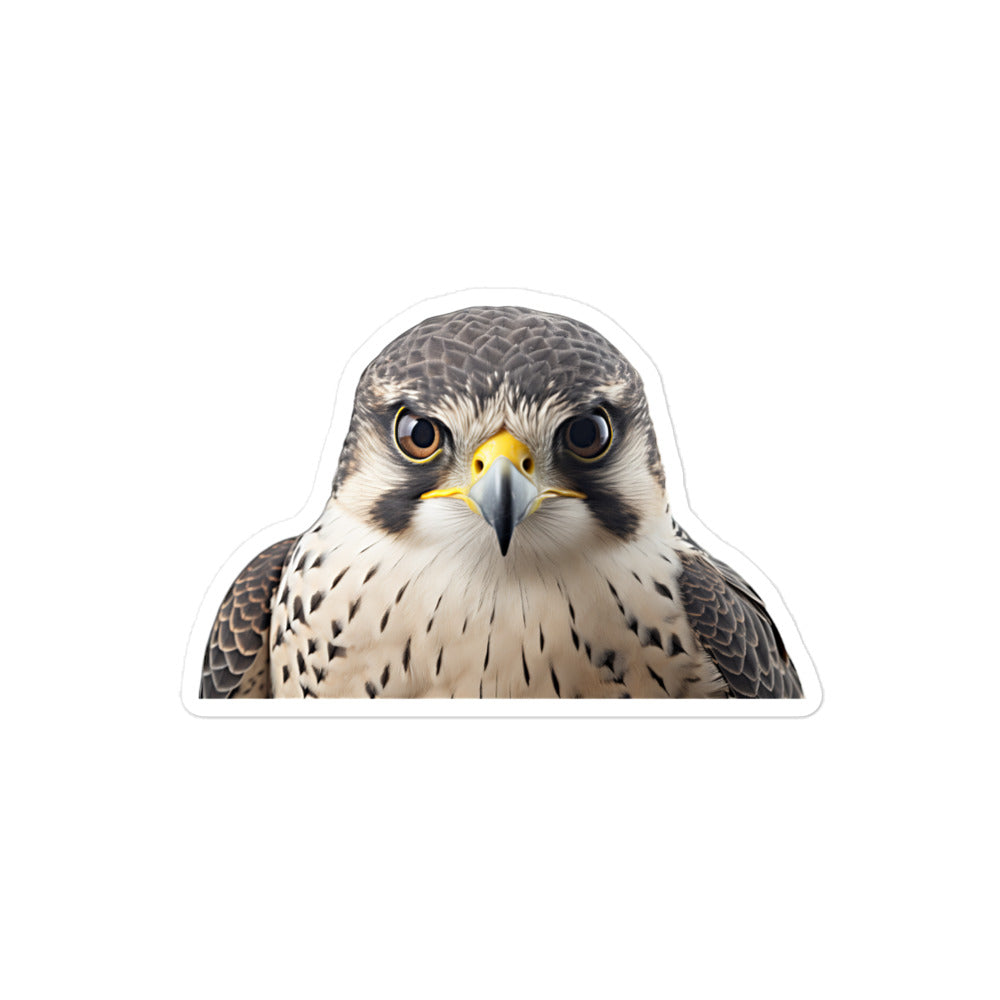 Falcon Sticker - Stickerfy.ai