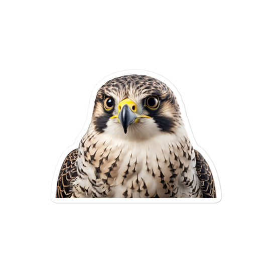 Falcon Sticker - Stickerfy.ai