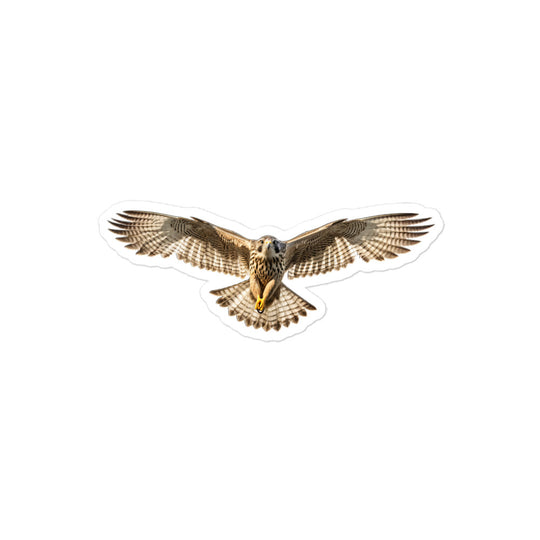 Falcon Sticker - Stickerfy.ai