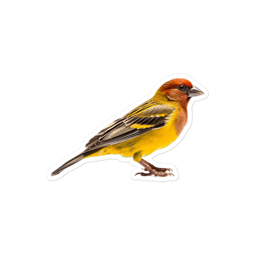 Finch Sticker - Stickerfy.ai