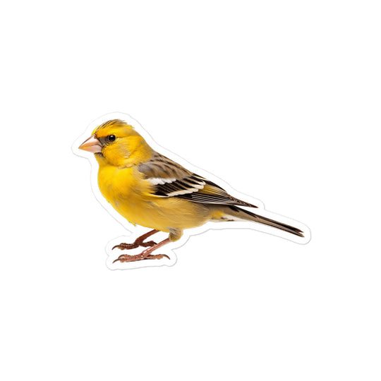 Finch Sticker - Stickerfy.ai