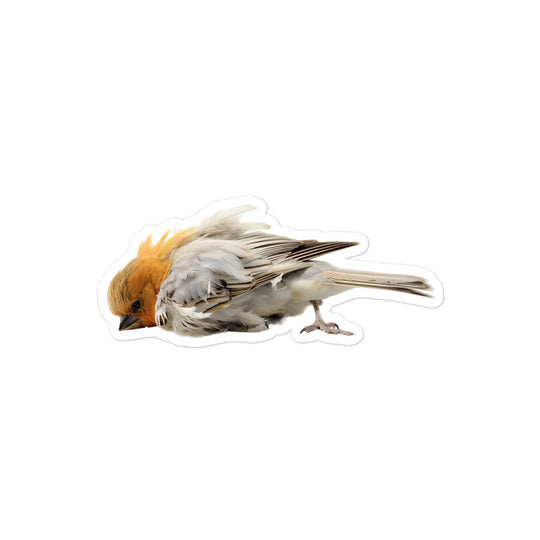 Finch Sticker - Stickerfy.ai