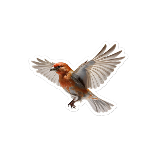 Finch Sticker - Stickerfy.ai