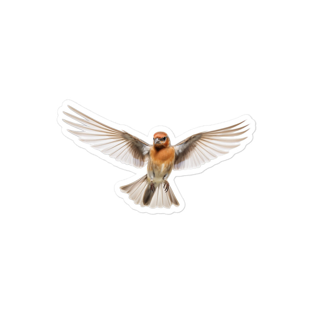 Finch Sticker - Stickerfy.ai