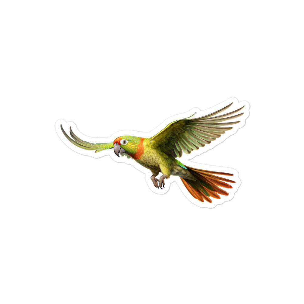 Green Cheeked Conure Sticker - Stickerfy.ai