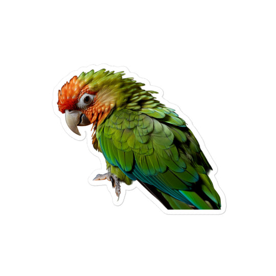 Green Cheeked Conure Sticker - Stickerfy.ai