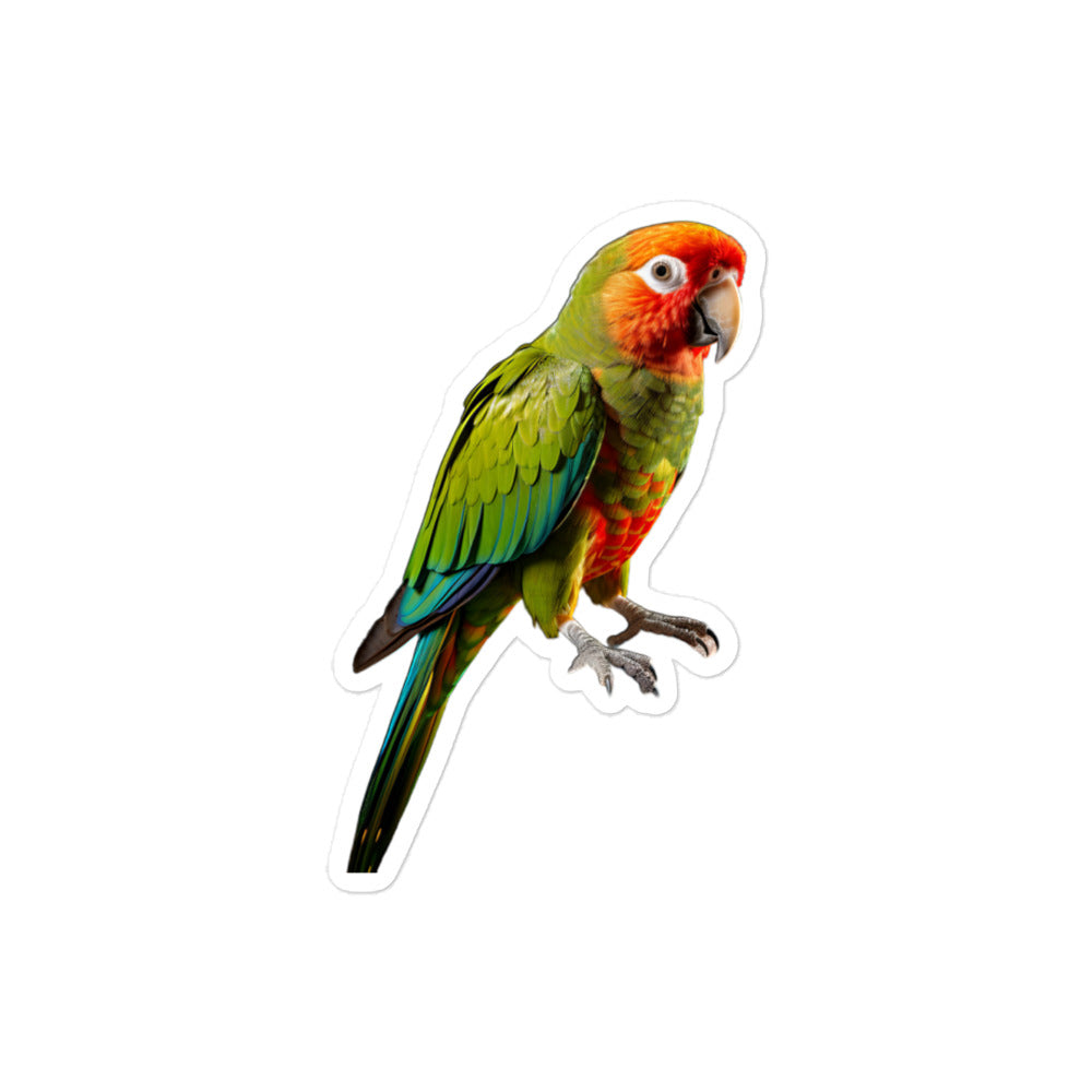 Green Cheeked Conure Sticker - Stickerfy.ai