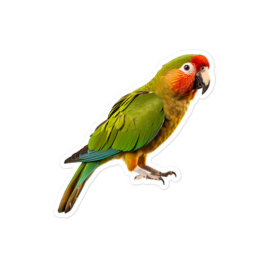 Green Cheeked Conure Sticker - Stickerfy.ai