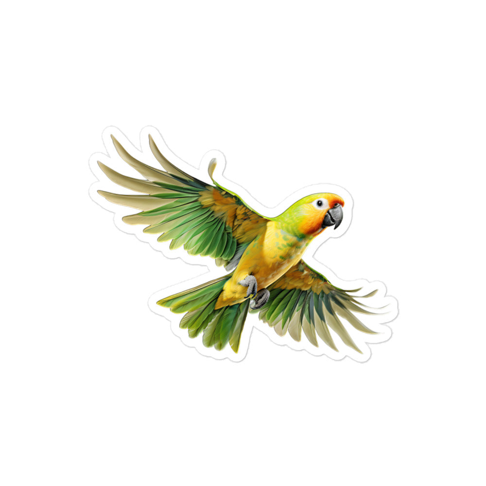 Conure Sticker - Stickerfy.ai