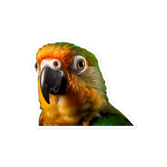 Conure Sticker - Stickerfy.ai