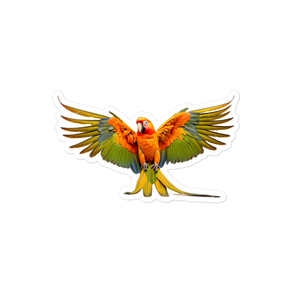 Conure Sticker - Stickerfy.ai