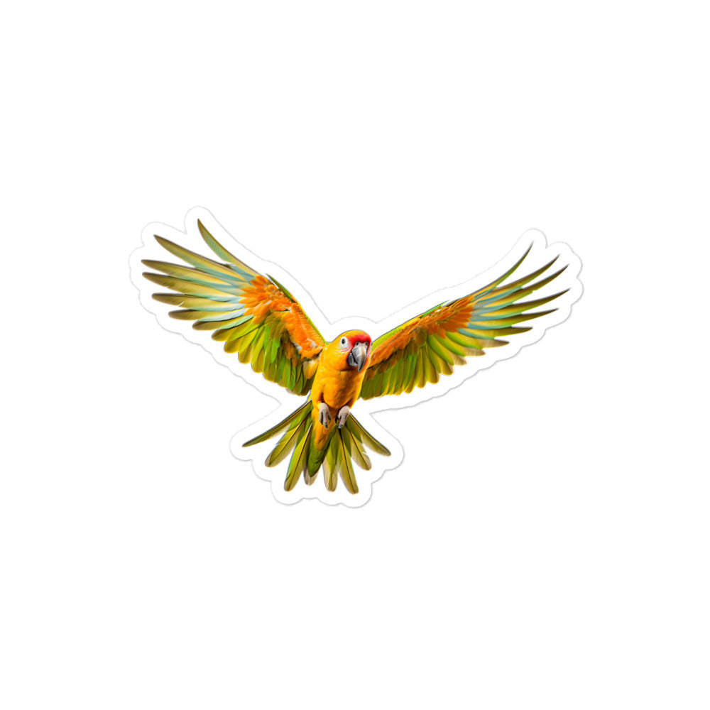 Conure Sticker - Stickerfy.ai