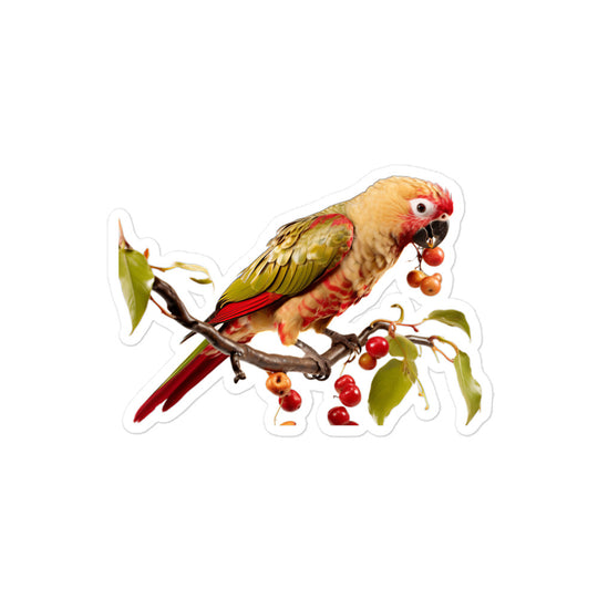 Conure Sticker - Stickerfy.ai