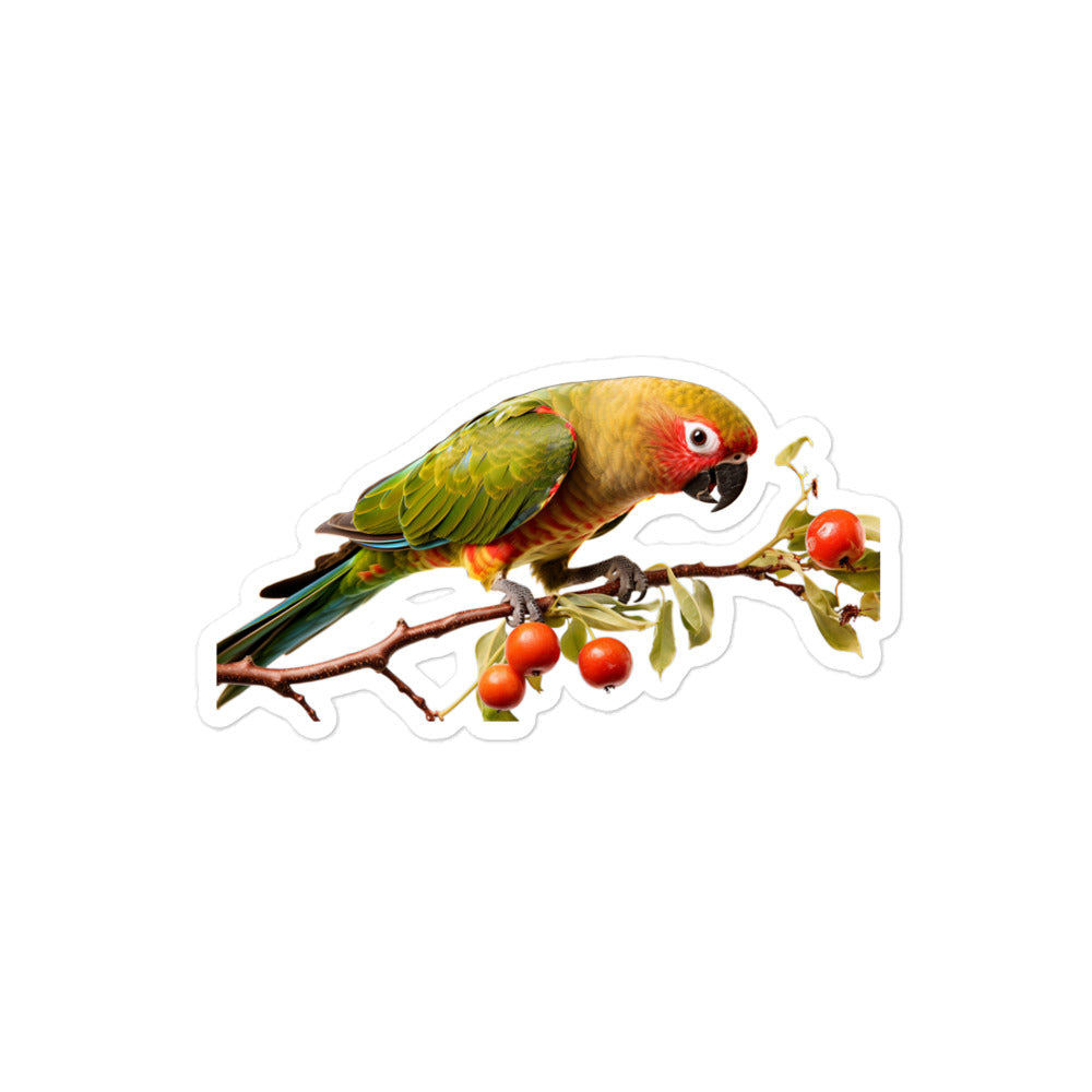 Conure Sticker - Stickerfy.ai