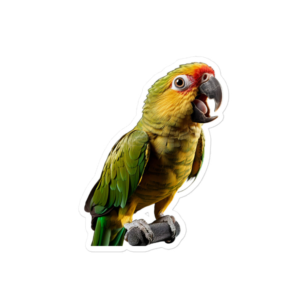 Conure Sticker - Stickerfy.ai