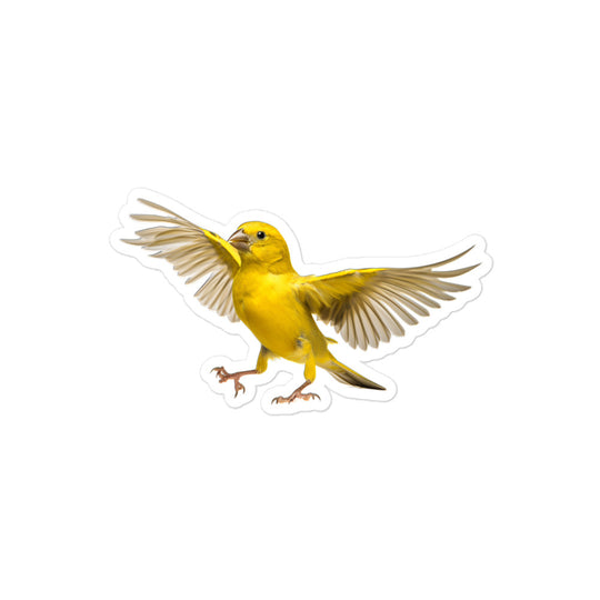 Canary Sticker - Stickerfy.ai