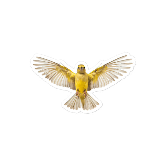 Canary Sticker - Stickerfy.ai