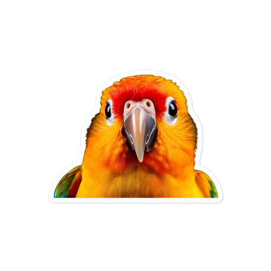 Sun Conure Sticker - Stickerfy.ai