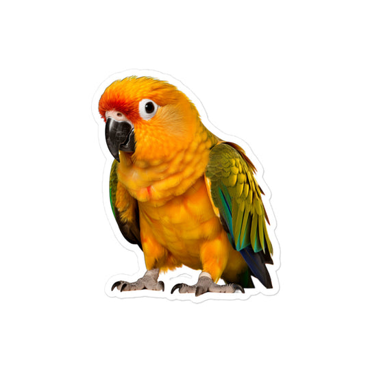 Sun Conure Sticker - Stickerfy.ai