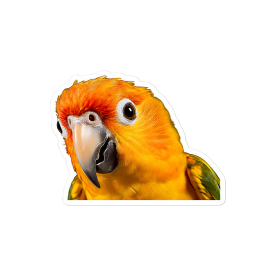 Sun Conure Sticker - Stickerfy.ai