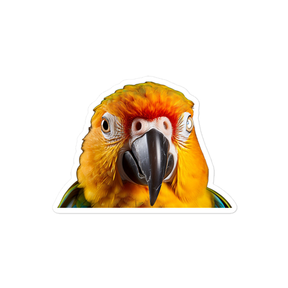 Sun Conure Sticker - Stickerfy.ai