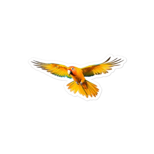 Sun Conure Sticker - Stickerfy.ai