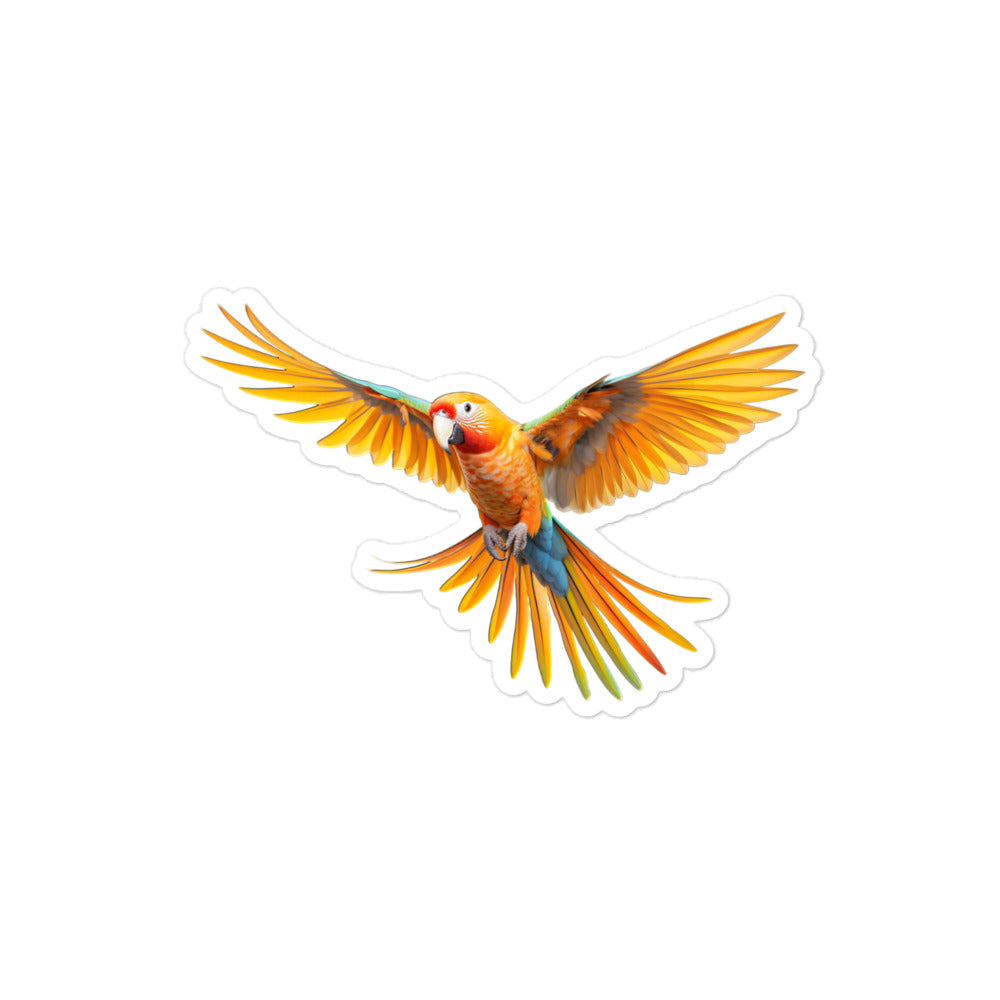 Sun Conure Sticker - Stickerfy.ai