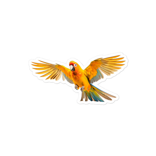 Sun Conure Sticker - Stickerfy.ai