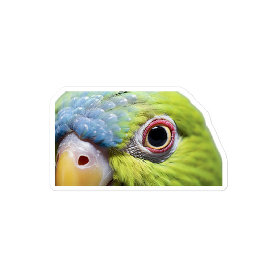 Indian Ringneck Parakeet Sticker - Stickerfy.ai