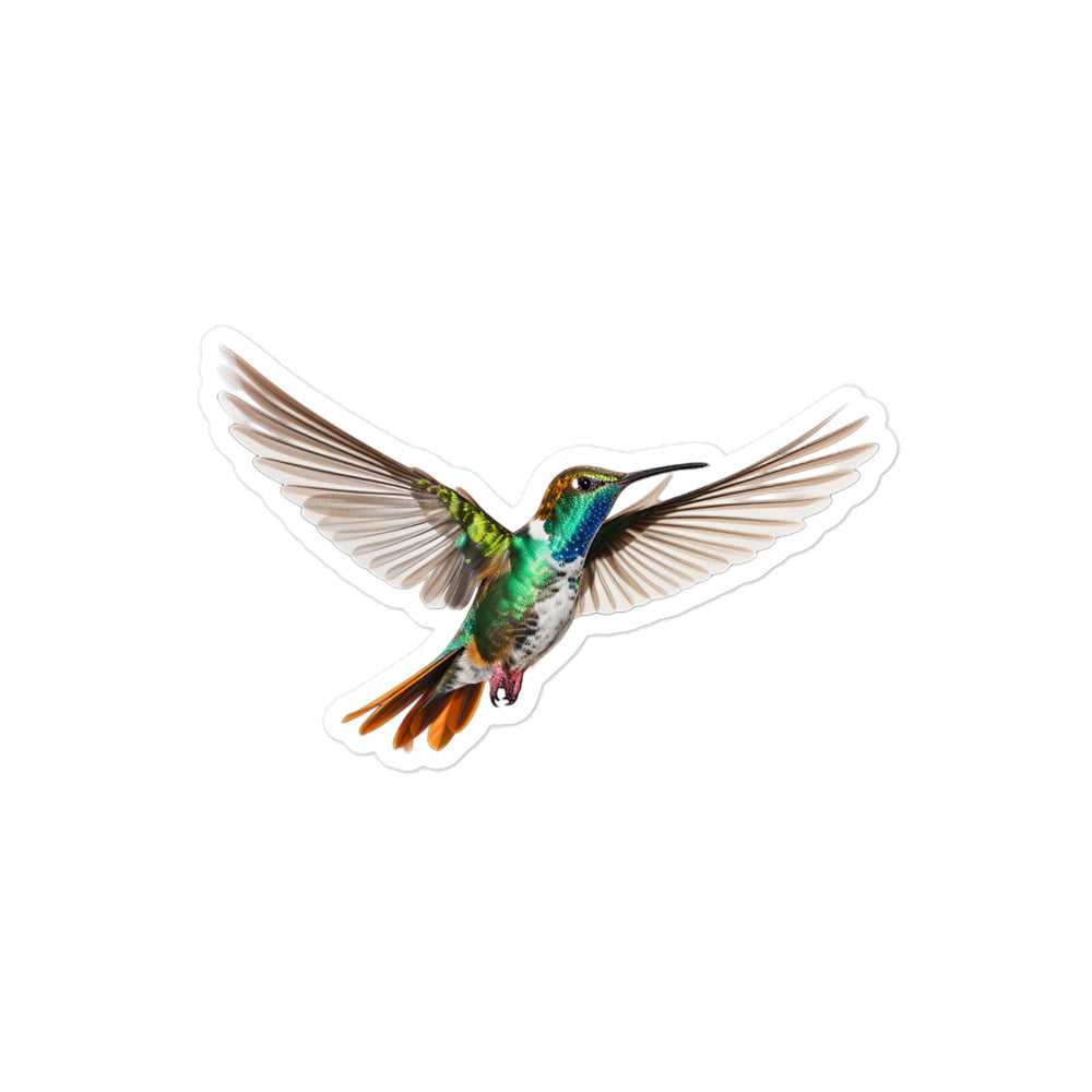 Hummingbird Sticker - Stickerfy.ai