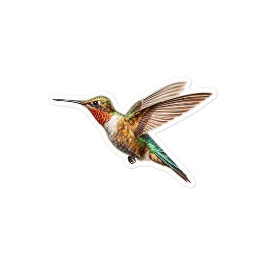 Hummingbird Sticker - Stickerfy.ai