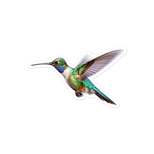 Hummingbird Sticker - Stickerfy.ai