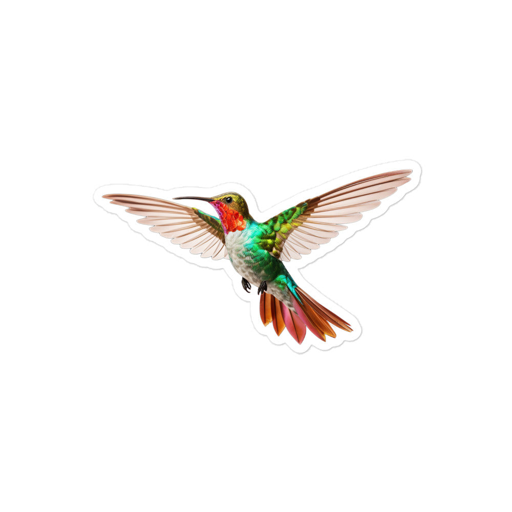 Hummingbird Sticker - Stickerfy.ai